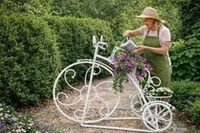 Шпалеры и другое