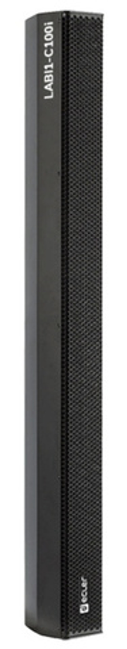 Линейный массив Ecler LABI1-C100i