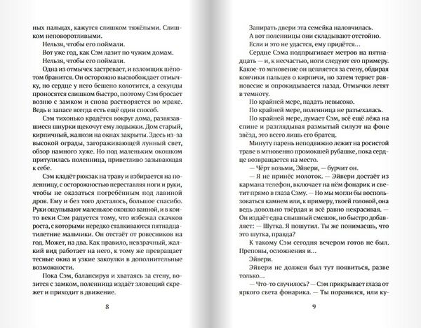 Мальчик, который крадёт дома