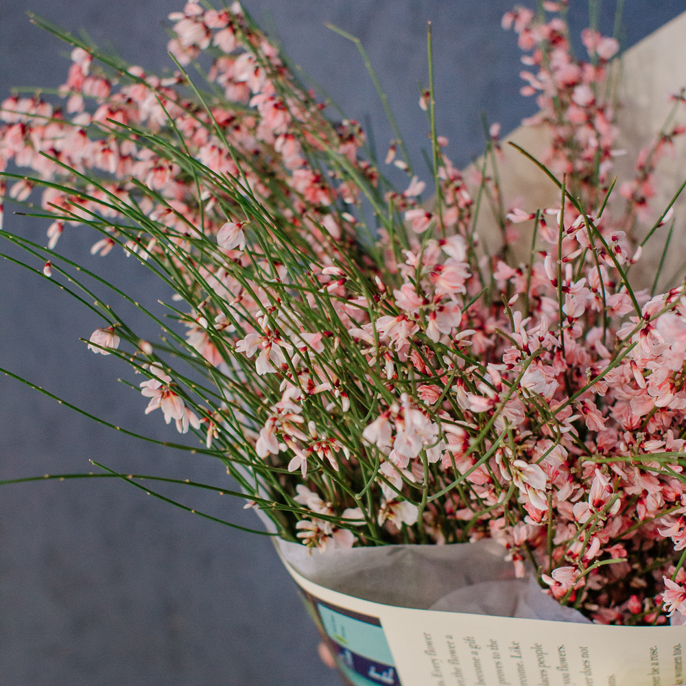 154. Весенний букет из ароматной генисты