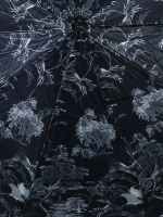 Зонт