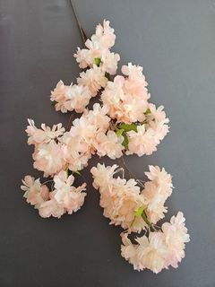 Осенняя коллекция