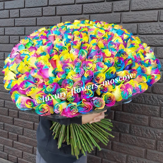 201 радужная роза
