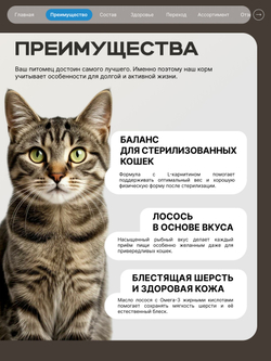 Корм сухой для стерилизованных кошек всех пород, с лососем, 400 гр, QUATTRO