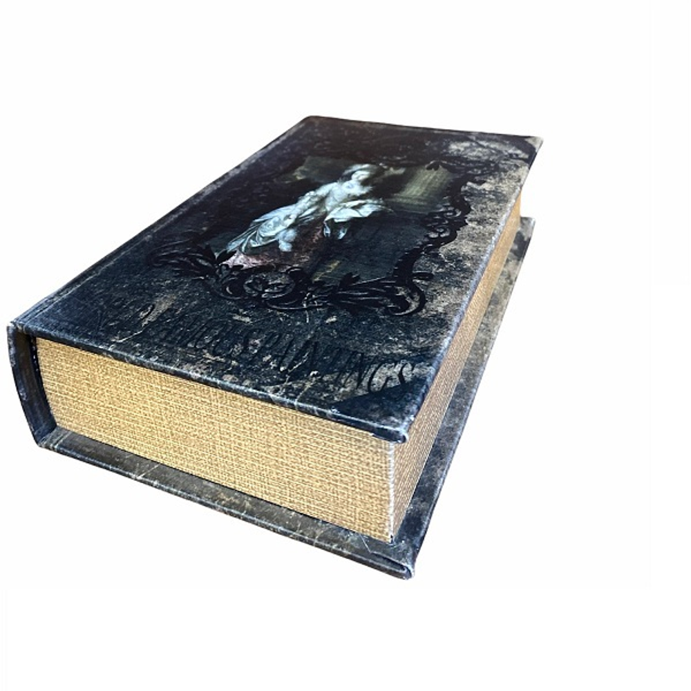 Шкатулка Книга