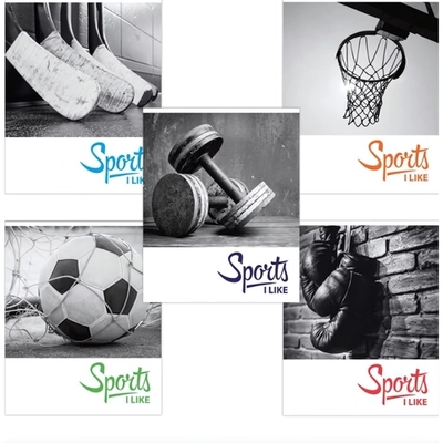 Тетрадь 48л. А5 клетка Brauberg СПОРТ обложка картон ассорти (10/20)