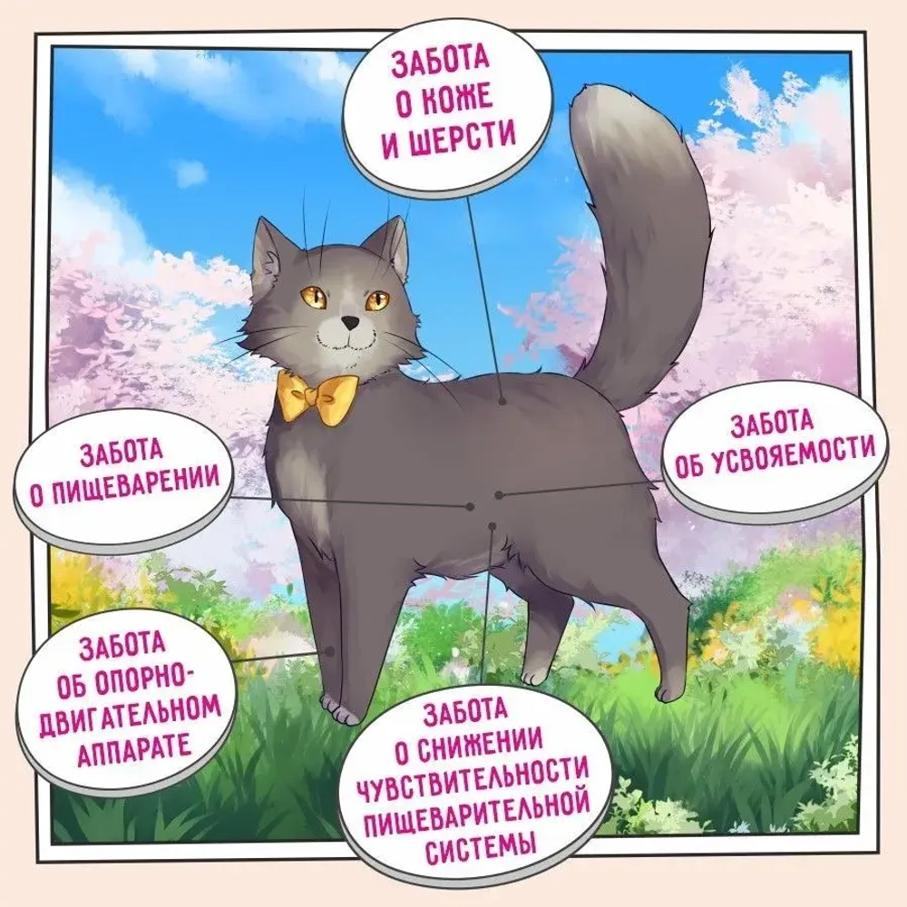 Корм для ZILLII (Зилли) Cat Sensitive Digestion 10кг индейка сухой для кошек с чувствительным пищеварением