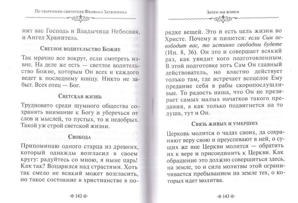 Зачем мы живем. По творениям святителя Феофана Затворника
