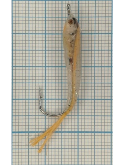 Мормышка "Малек пыздрик" с ушком