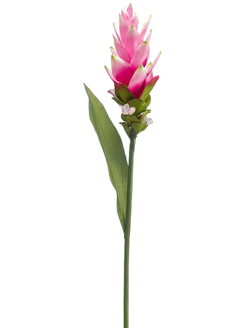 иск. цветок Curcuma pink