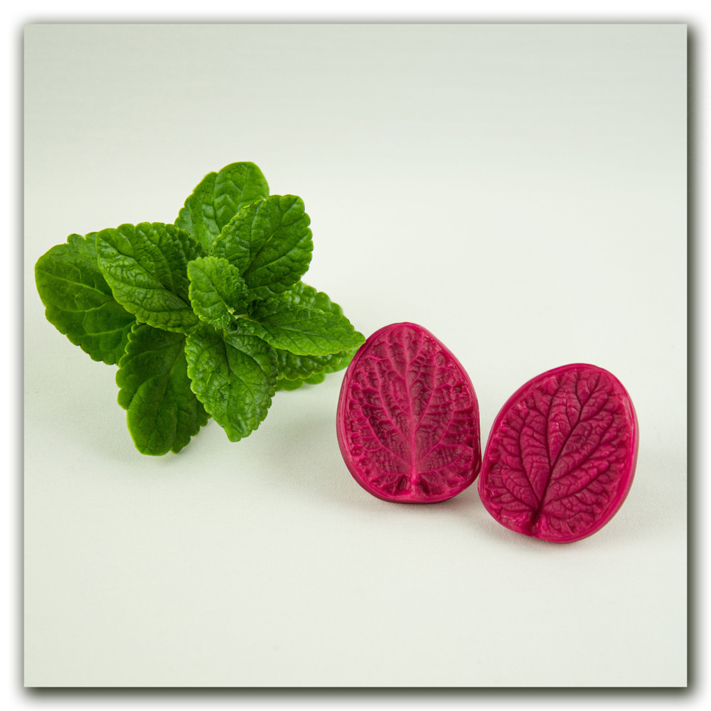 вайнер мелиссы