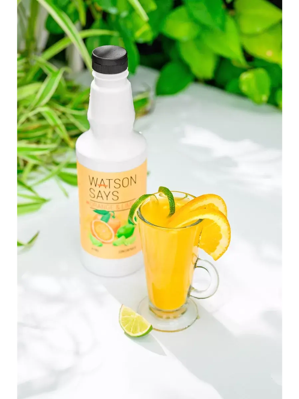 Основа для лимонадов и коктейлей WATSON SAYS Киви - Фейхоа 1кг