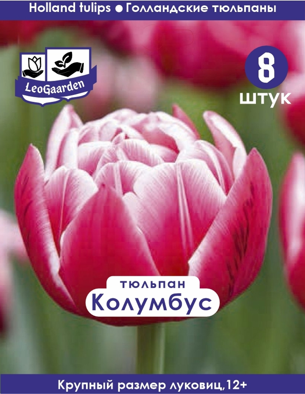 Тюльпан Луковица, Колумбус, 8 шт, разбор 12+