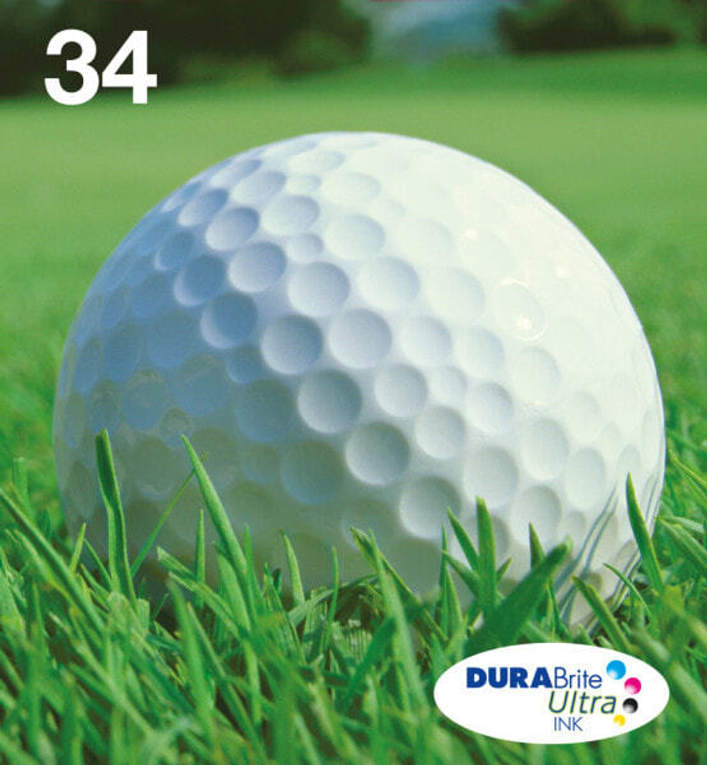 Epson Golf ball C13T34664510 струйный картридж Подлинный Черный, Голубой, Пурпурный, Желтый 1 шт