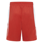 Шорты Women's Nike Team Basketball Stock Short 20 Red
