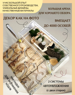 Супер большая ферма с муравьями в подарок «XXXL Древесная»