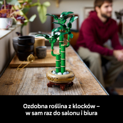 LEGO Botanicals - Драцена сандера 10344