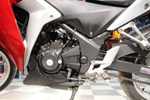 Honda CBR250R MC41-1003679