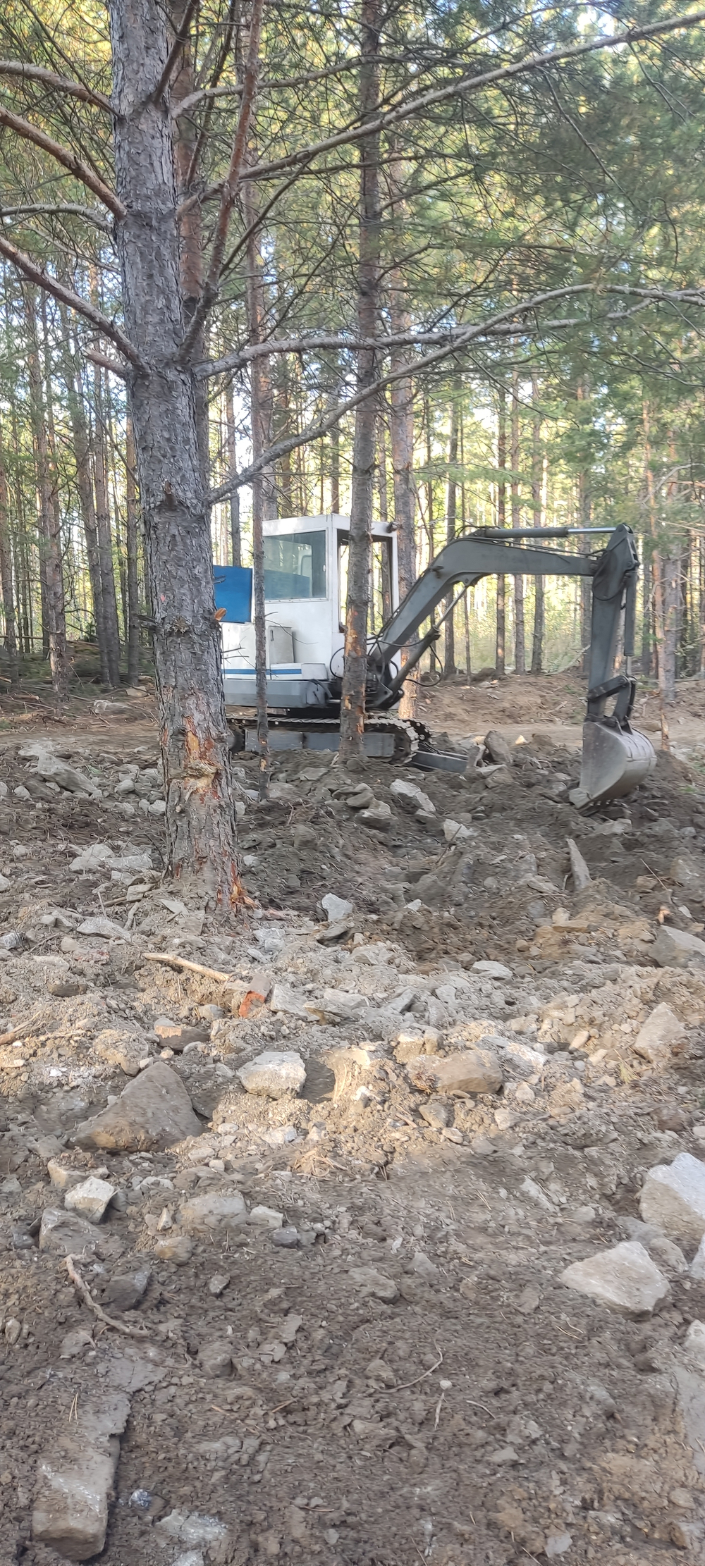 Расчистка участка в Екатеринбурге