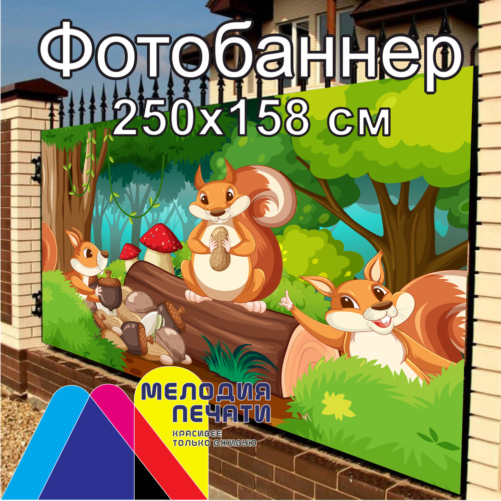 Фотобаннер 250х158 см для забора
