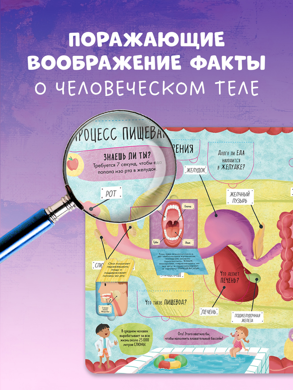 Большая книга с окошками. Тело человека