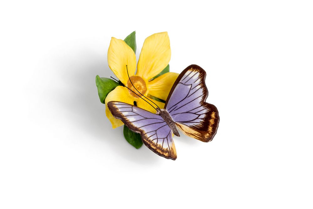 Статуэтка бабочки Австралийский клюв (Australian Beak) на цветке из серии «Бабочки мира»
