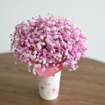 Композиция «Букет белых диантусов» — розовая гипсофила в стаканчике