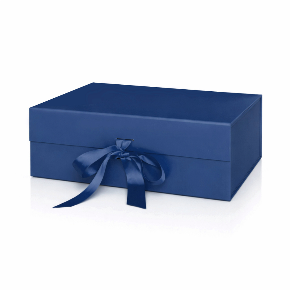 BV319BOXa11 копия