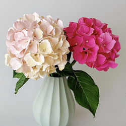 Вайнер  силиконовый лист Гортензии от Академии ClayCraft by DECO™