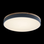 Потолочный светодиодный светильник Loft It Axel 10001/36 Grey