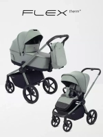 Коляска 2 в 1 Rant Flex Soft Therm