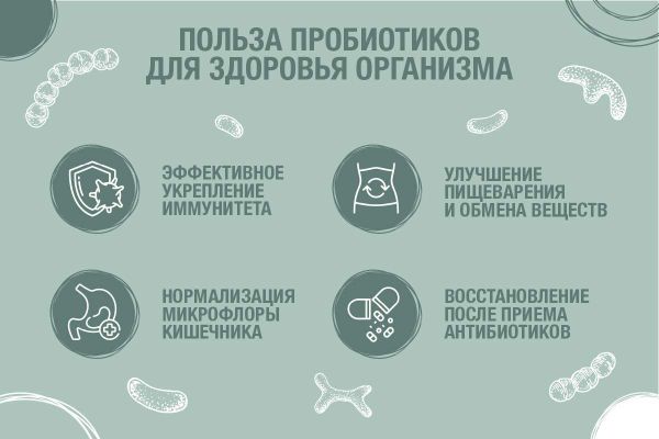 Чем полезны пробиотики для организма