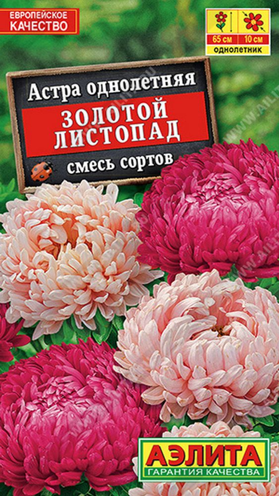 Астра &quot;G. Золотой листопад&quot; 0.2г., Россия.
