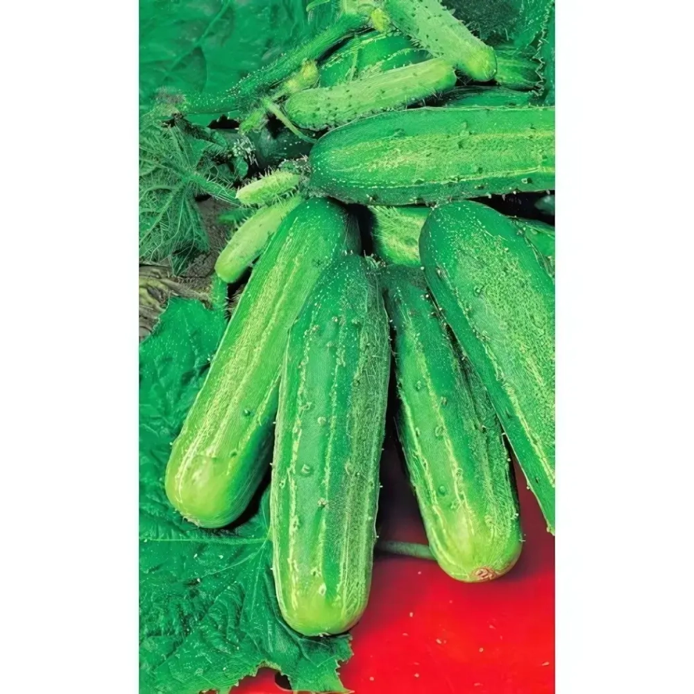 Семена Огурец По Моему Хотению F1 (УД) Е/П