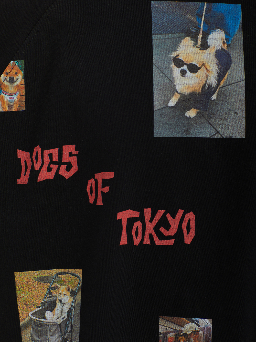 Мужская Футболка Dogs Of Tokyo