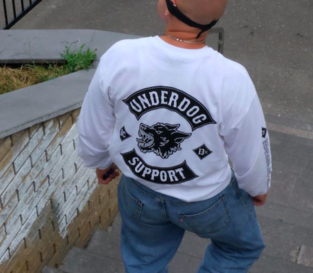 Лонгслив Underdog Support White