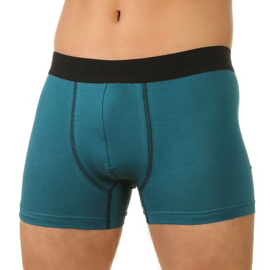 Мужские трусы боксеры изумрудные E5 Underwear Cotton 013