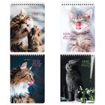 Блокнот А5, 80л, на гребне, клетка, Brauberg Довольные коты, ассорти, 1шт