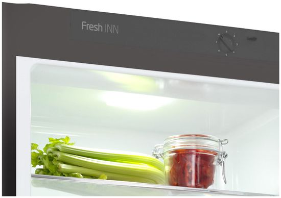 Холодильник Snaige RF57SM-S5JJ210 (D91Z1C5SNBX)