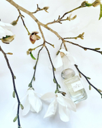 Lengling El Pasajero 1