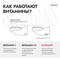 База BASE VITAMIN  Е, Ca, B5