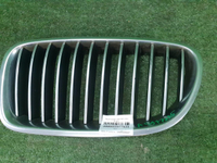 Решетка радиатора левая BMW 5er F10 F11 (2009-2013)
