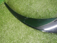 DSCN6807.jpg