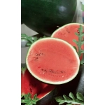 Семена Арбуз Ультраскороспелый (Марс) 1гр Б/П