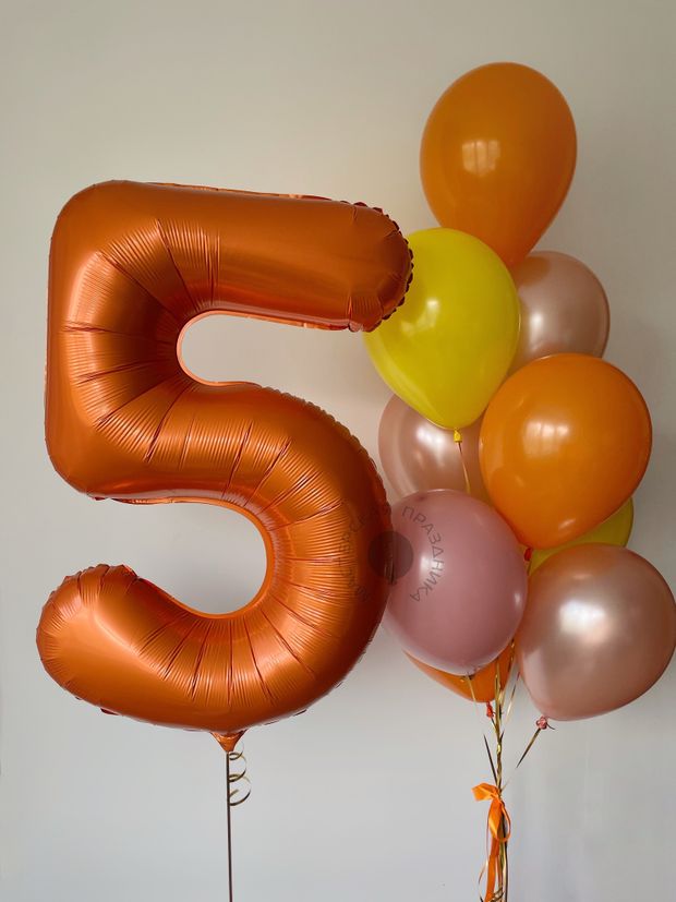 Воздушные шары на 5 лет №8574