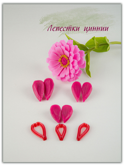 Комплект для лепки цинний