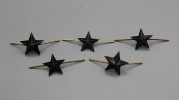 Звезда на погоны (ФСИН) мет. 13 мм черн.