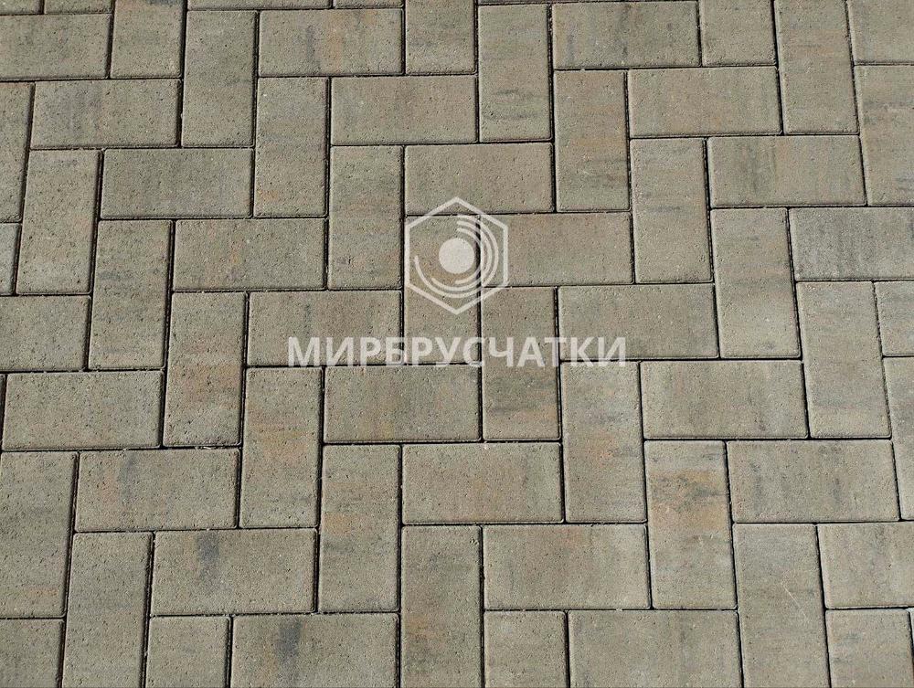Современник, дом на Некрасова, г. Новосибирск
