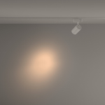 Трехфазный трековый светодиодный светильник Maytoni Vuoro TR029-3-10W3K-S-W