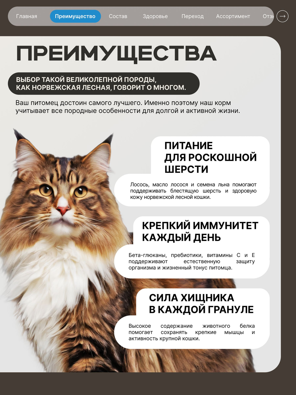 Корм сухой для взрослых кошек породы Норвежская лесная, с лососем, 400 гр, QUATTRO